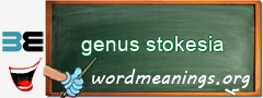 WordMeaning blackboard for genus stokesia